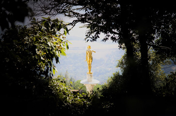peeking through a window of trees at a golden statue
