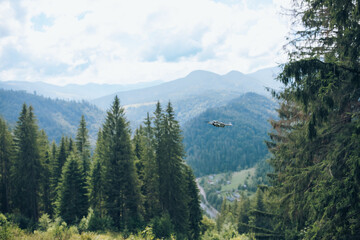Carpathian mountain forest at early morning sunrise. Beautiful nature landcape.