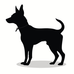 Basenji silhouettes and icons. black flat color simple elegant Basenji animal vector and illustration.