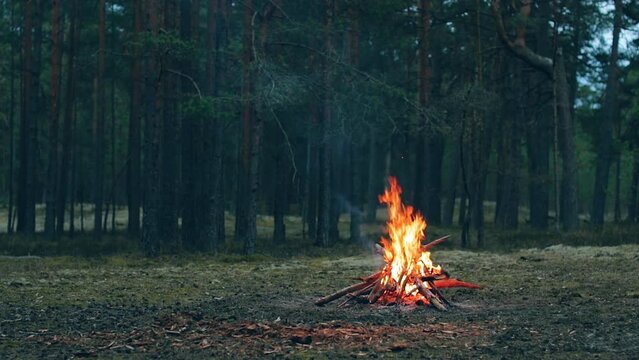 A Bonfire Burning in the Forest in Evening. Flaming Campfire. Fireplace in Nature - Static Shot, Slow Motion