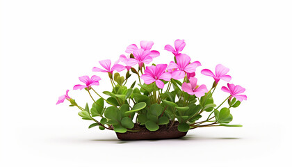 Naklejka premium Cheerful Pink Blooms