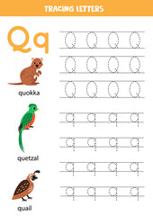 Tracing alphabet letters for kids. Animal alphabet. Letter Q is for quokka quetzal quail.