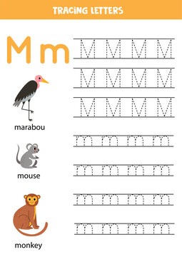 Tracing alphabet letters for kids. Animal alphabet. Letter M is for marabou mouse monkey.