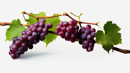 Fototapeta premium bunch of red grapes