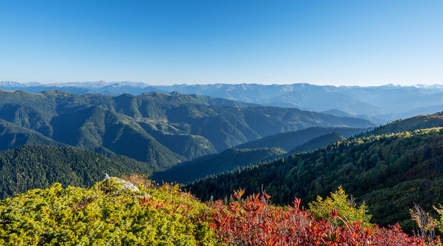 Beautiful mountain landscape with color trees, blue sky and snow  peaks in sunny day. Traveling through the mountains of Georgia. The village of Gomismta.