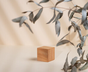 Abstract empty wooden cube with shadows and leaves on a beige background. Layout concept for promotional product presentation, sale or cosmetics display.