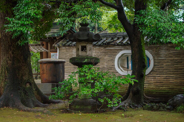 東京赤坂にある氷川神社の秋の境内