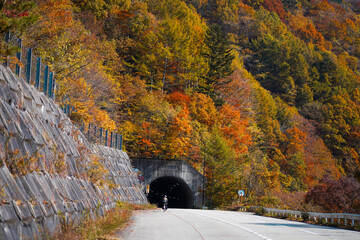 Cyclist entering the Akigami Tunnel located in Kaida Kogen in Nagano Prefecture with autumn in the forest.
