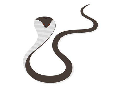 Cartoon snake on white background.