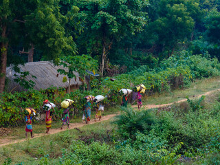  Indian Rural women , returning home after a long day Hard work.