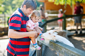 Adorable cute toddler girl and young father feeding little goats and sheeps on a kids farm. Beautiful baby child petting animals in petting zoo. man and daughter together on family weekend vacations. - obrazy, fototapety, plakaty
