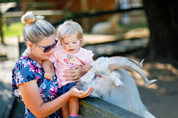 Adorable cute toddler girl and young mother feeding little goats and sheeps on kids farm. Beautiful baby child petting animals in petting zoo. Woman and daughter together on family weekend vacations