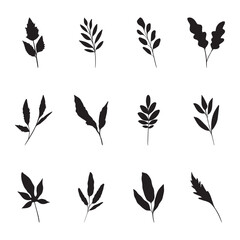  Set of leaf silhouette vector