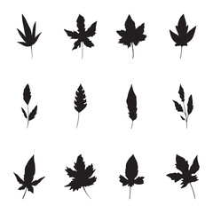  Set of leaf silhouette vector
