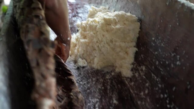 traditional preparation of a simple manioc bread in an indigenous village if the cuyabeno national park in Ecuador, in the tropical Amazon river region