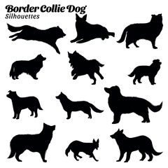 Set of illustrations of border collie dog silhouettes