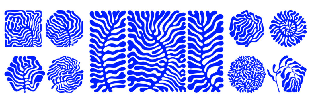 Abstract plant set. Modern art style. Botanic vector illustration in blue color. Matisse plants style in art. Vector design. Set of coral branches in retro boho style