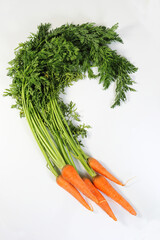 にんじんの収穫　畑で掘り出した新鮮人参