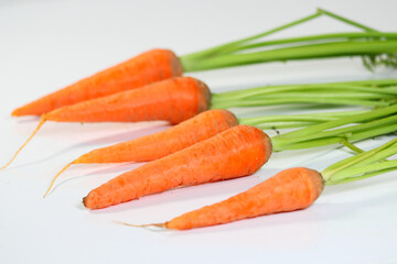 にんじんの収穫　畑で掘り出した新鮮人参