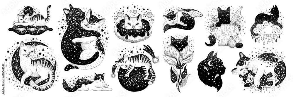 Wall mural Black animal silhouettes, cute cats with moon and stars pattern. Funny pets in different poses. Abstract and mystic art with black and tabby kittens, flowers and planets, vector sketch illustration