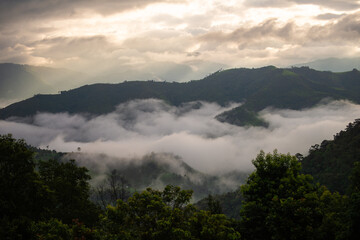 fog in the mountains