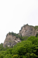 Mountain. View of mountains covered with forests. Cloudy weather