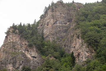 Mountain. View of mountains covered with forests. Cloudy weather