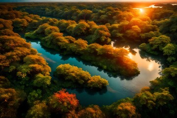A dense mangrove forest with winding waterways, the evening sky ablaze with the colors of a tropical sunset
