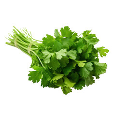 coriander,cilantro isolated on transparent background,transparency 