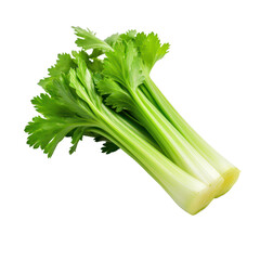 celery isolated on transparent background,transparency 