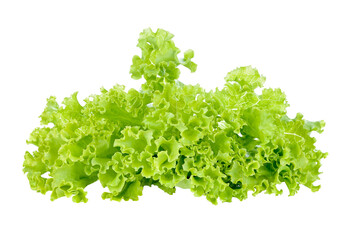 lettuce leaves transparent png