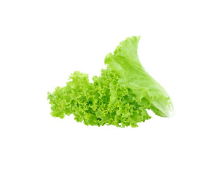 Fresh green lettuce leafs transparent png