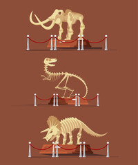 Paleontology museum with dinosaur fossils vector illustration. Cartoon paleontological exhibition with prehistoric dino skeletons. Historical artefacts and sculls on pedestals. Science concept - obrazy, fototapety, plakaty