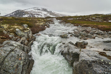 Landscape of cold harsh tundra in Dovrefjell national park
