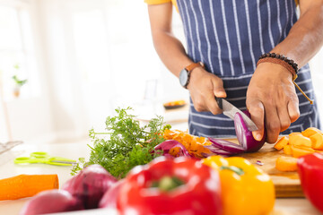 Hands of happy biracial man in apron chopping vegetables in sunny kitchen at home