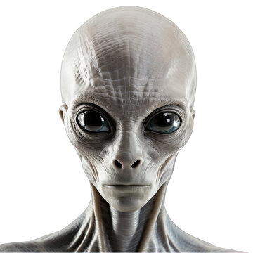 Gray Alien Face in Close-up Isolated on Transparent or White Background, PNG