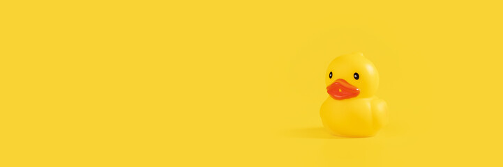 Rubber duck, yellow bath toy, creative bath decor, cute duckling,banner