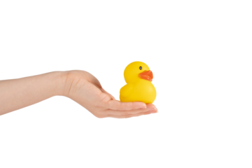 rubber duck in hand isolated,bath time, playful water toy