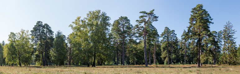 Fototapeta na wymiar Big glade in park with trees on distant her edge