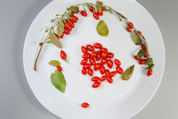 Goji branch, fruits and leaves on white dish, top view