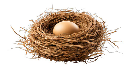 Bird Nest with a Single Egg Isolated on Transparent or White Background, PNG