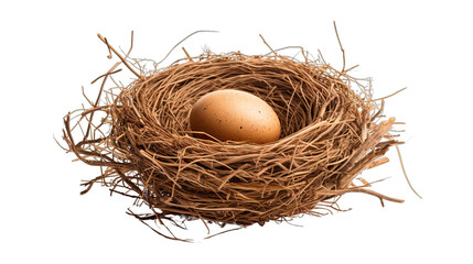 Bird's Nest with Egg Isolated on Transparent or White Background, PNG