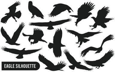 Collection of Eagle Silhouette Vector