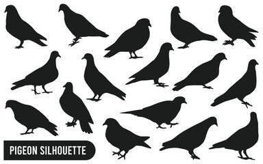 Collection of Pigeon Silhouette Vector