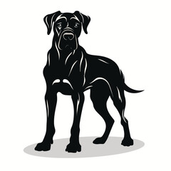 Great Dane silhouettes and icons. black flat color simple elegant Great Dane animal vector and illustration.