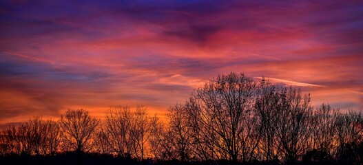 Scenic view of sunset over bare trees