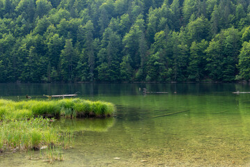 Fototapeta na wymiar Lake Toplitzsee in Salzkammergut, Austria