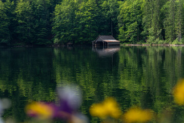 Obraz premium Lake Toplitzsee in Salzkammergut, Austria