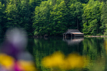 Obraz premium Lake Toplitzsee in Salzkammergut, Austria