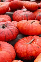 bright orange and red pumpkins laid out on wooden pallets next to each other
